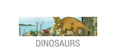 Dinosaurs Storybook